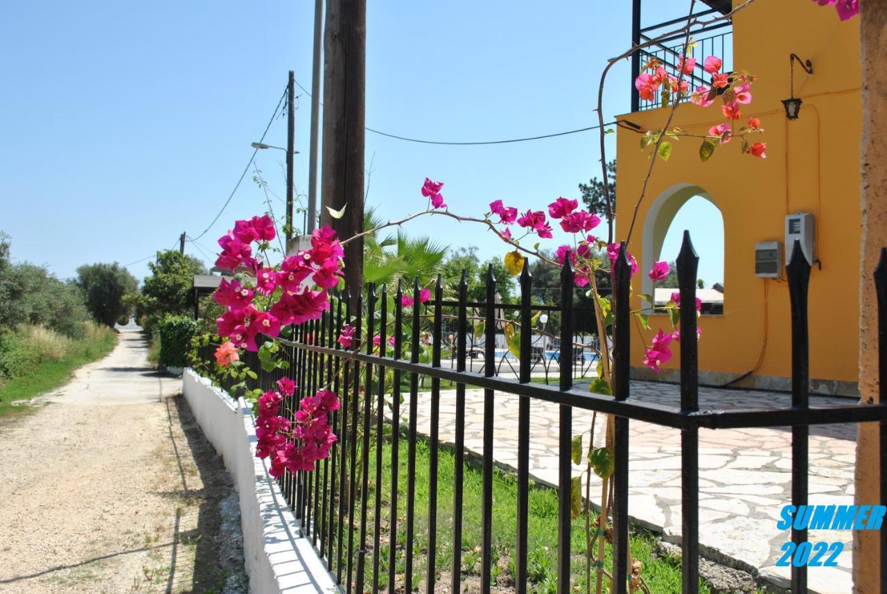 Palmyra *