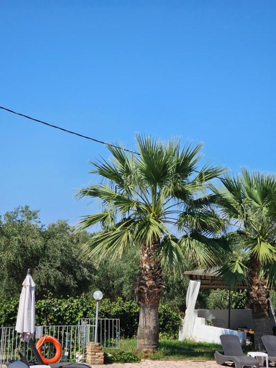 Palmyra Hotel apartamentowy *