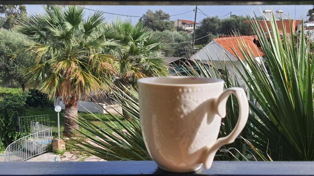 Hotel apartamentowy Palmyra Kávos
